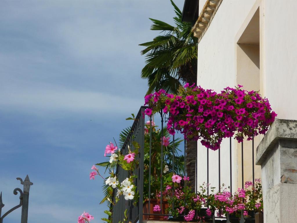 Hotel In Sylvis Sesto al Reghena Екстериор снимка